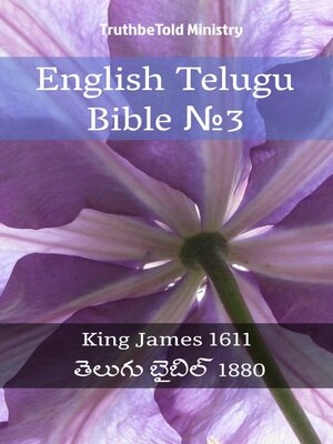 cover image of English Telugu Bible №3